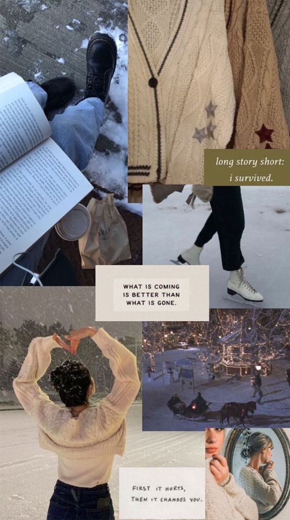 50 Snowfall Symphony Winter Collages : I Survived