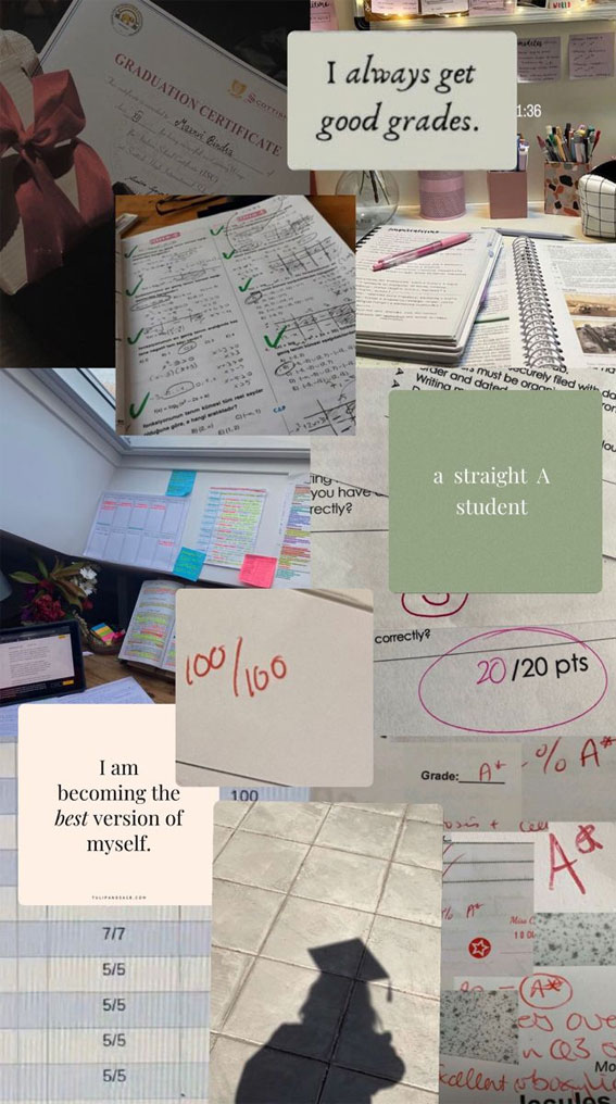 Aspiring Minds Study Goals Collages : A Straight A Student