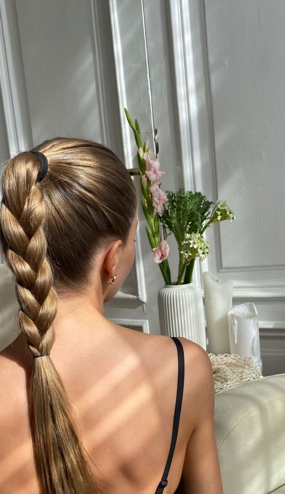 40 Effortlessly Adorable Hairstyles for Every Day : Smooth Sleek Braid