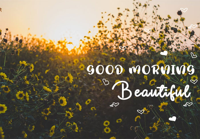 good morning monday, good morning, good morning texts, good morning wallpaper, good morning images, good morning quotes, good morning wishes, good morning love, today special good morning images, good morning images new