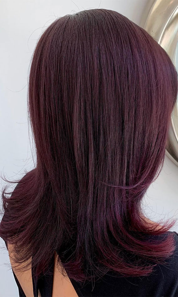 15 Aubergine Hair Colour Ideas : Berry & Aubergine Layered Haircut