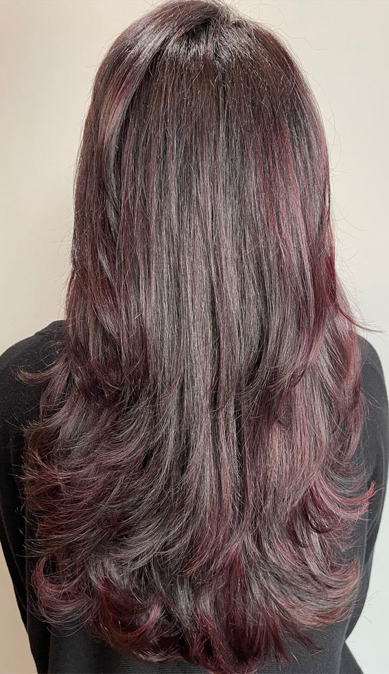 15 Aubergine Hair Colour Ideas : Subtle Aubergine Long Layers